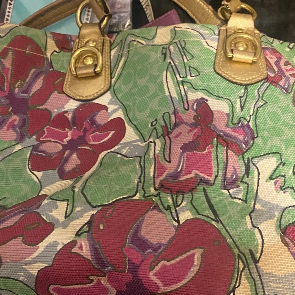Coach limited edition Ashley Iris Floral  Hobo Floral Satchel Gold Trim f16259 - Picture 11 of 11